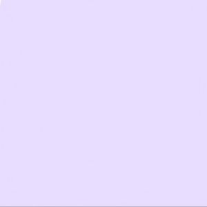 Meet the posher! 🤍